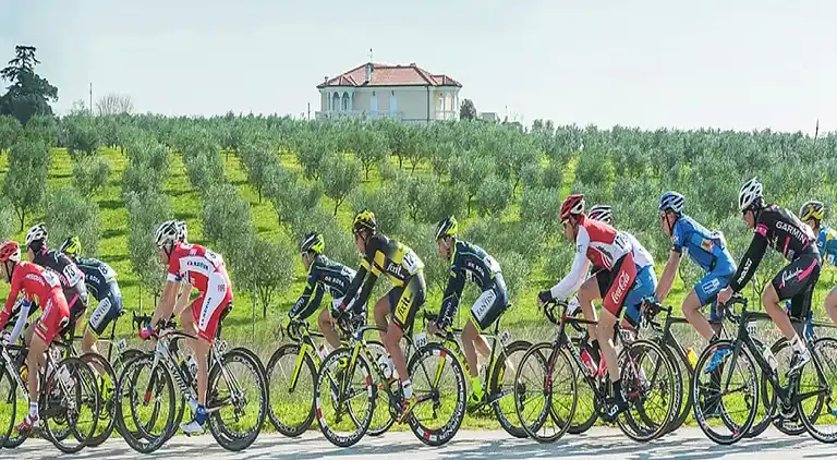 Farm house in Vabriga