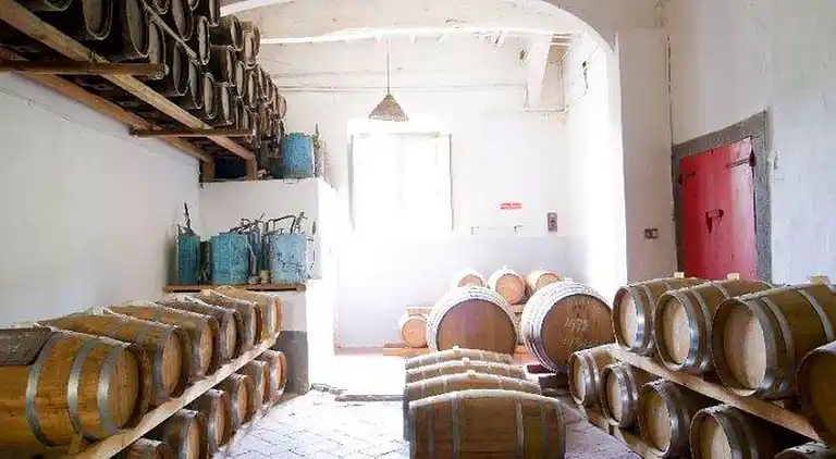 Gårdshus i Carmignano