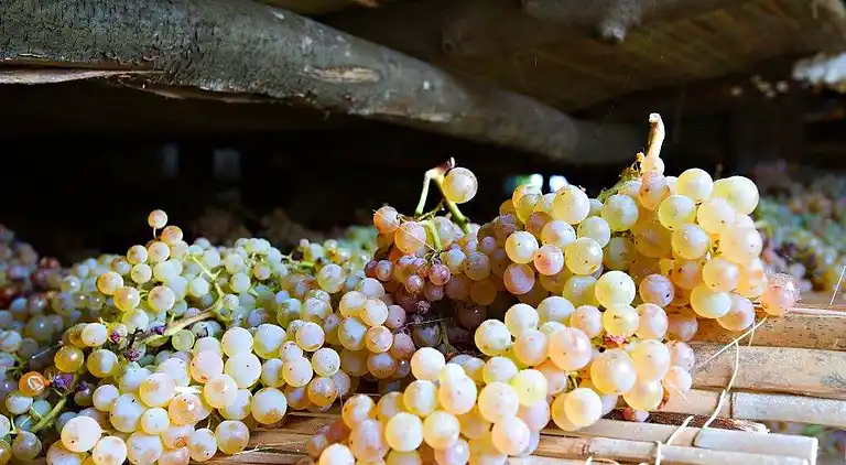 Gårdshus i Carmignano