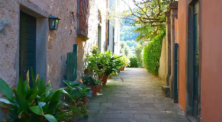 Farm house in Carmignano