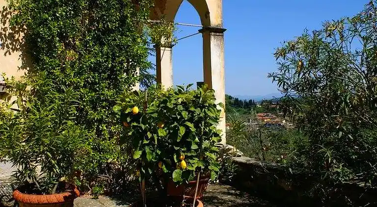 Farm house in Carmignano