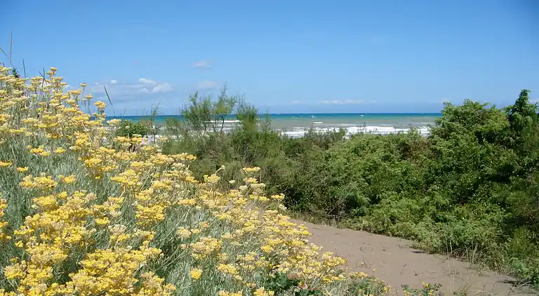 Ferienhaus in Marina di Castagneto Carducci