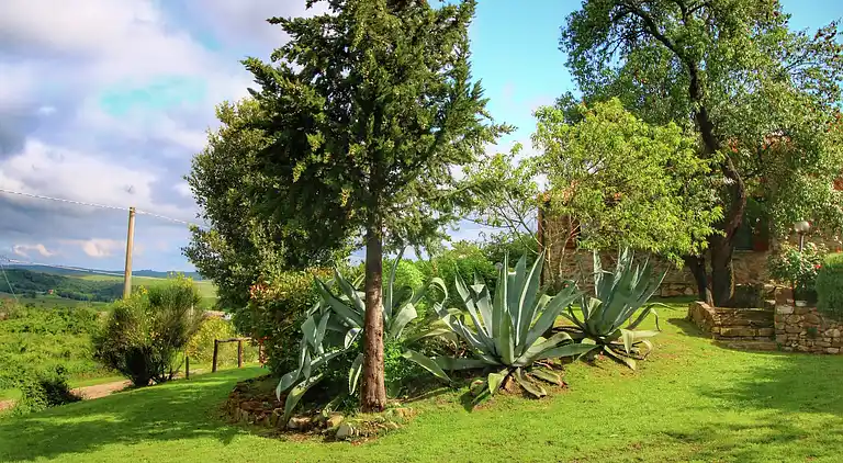Farm house in Castiglione d'Orcia