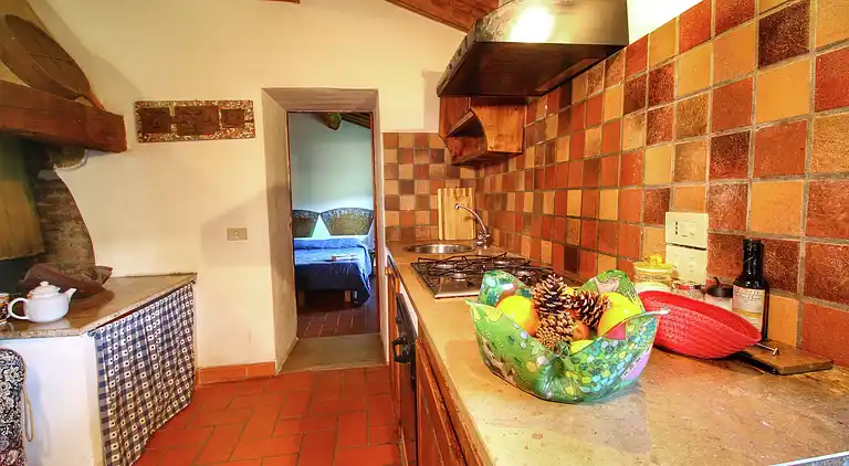 Farm house in Castiglione d'Orcia