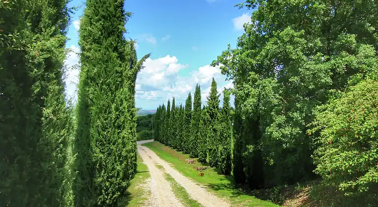 Farm house in Castiglione d'Orcia