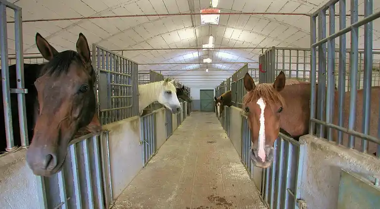 Farmhaus in Monte Santa Maria Tiberina