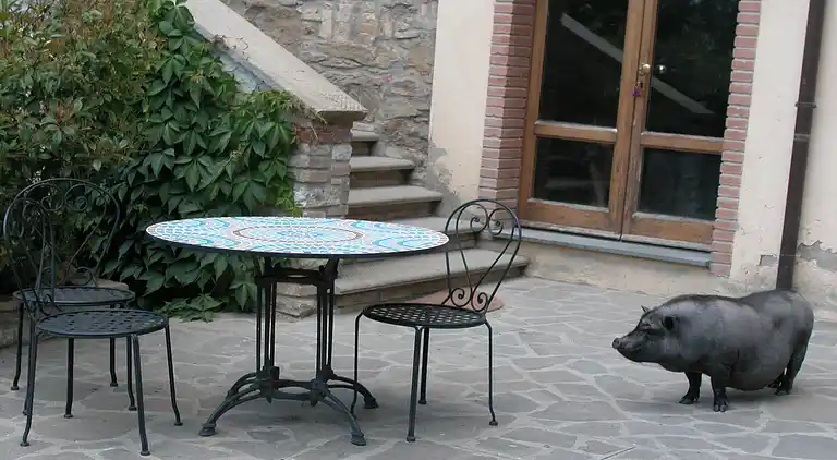 Farmhaus in Monte Santa Maria Tiberina