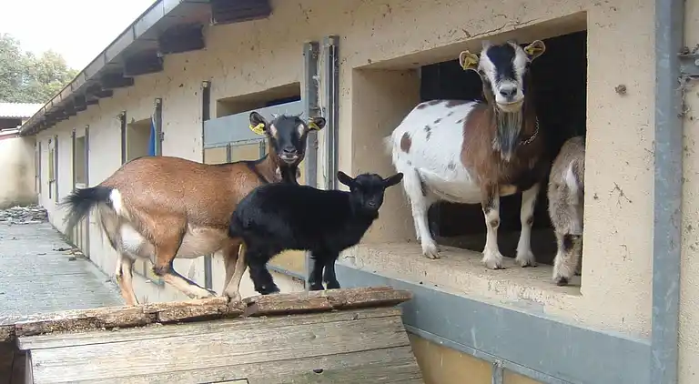 Farmhaus in Monte Santa Maria Tiberina