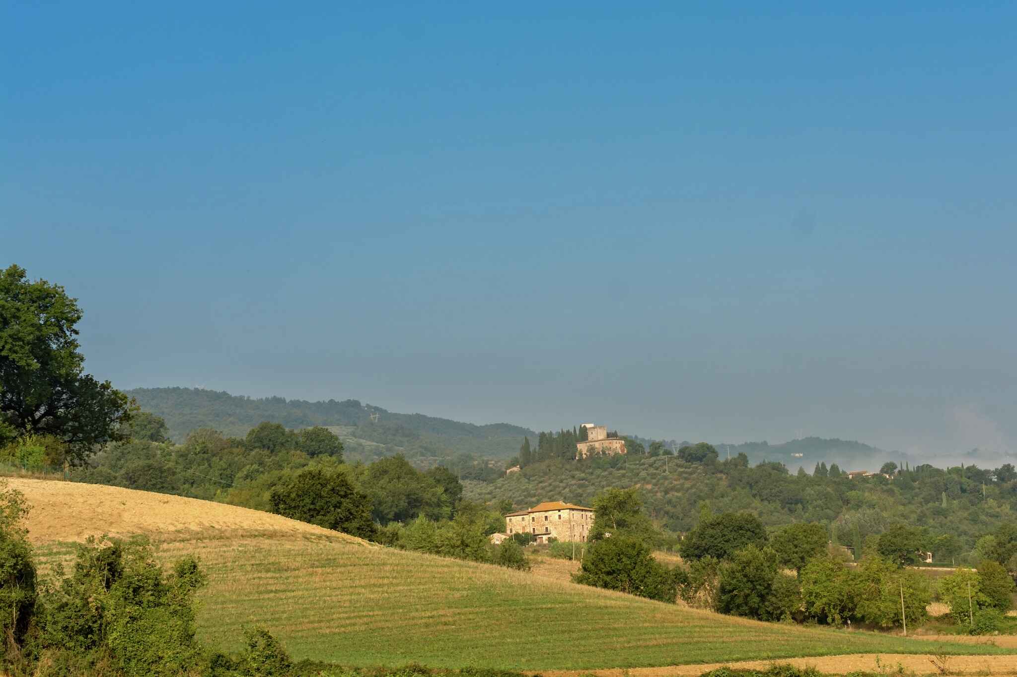 Large Image