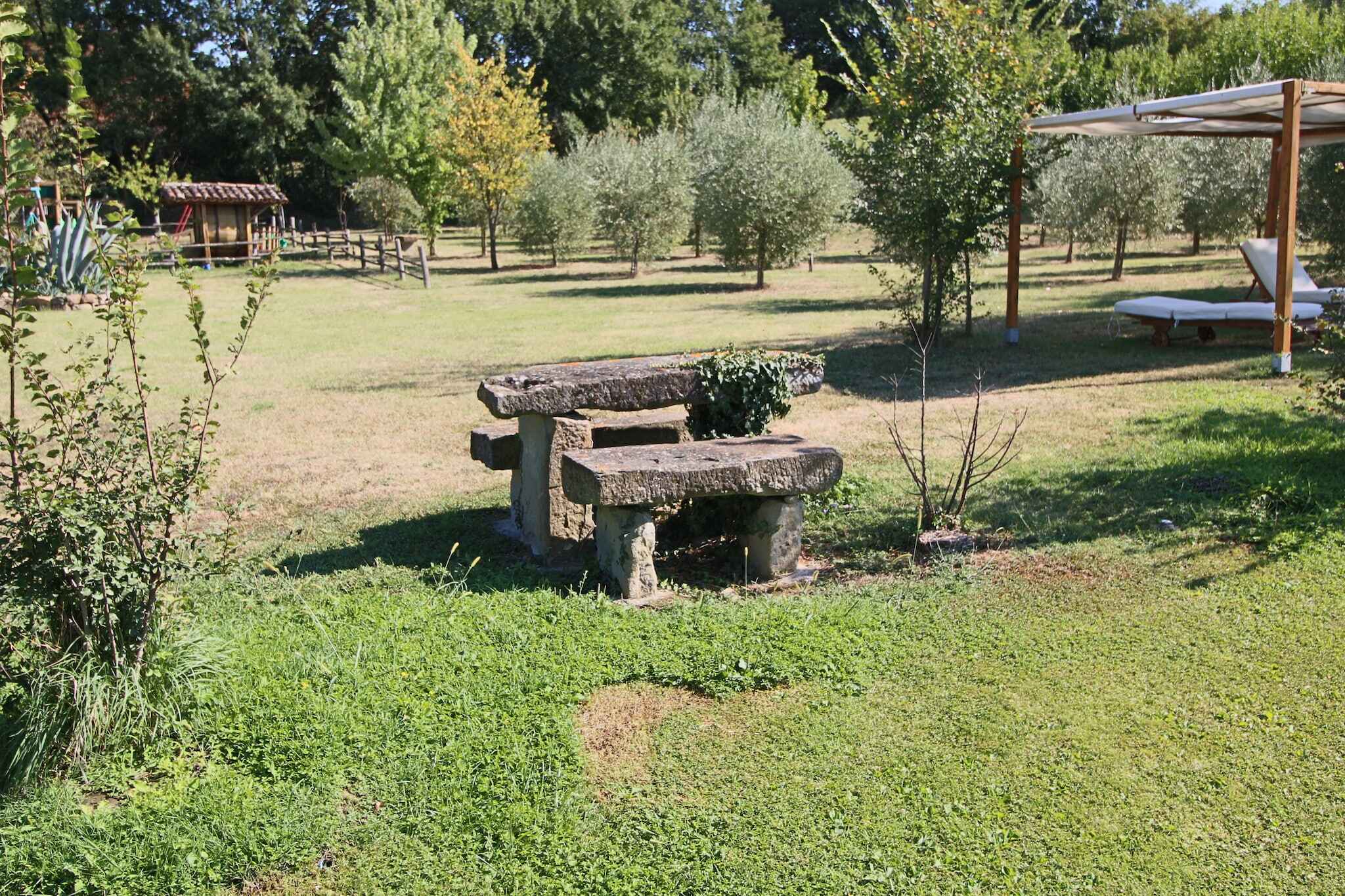 Large Image