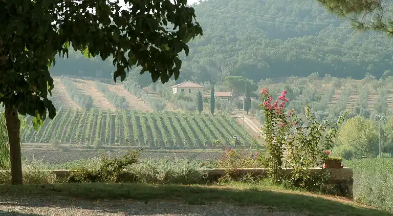 Gårdhus i Umbertide