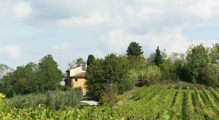 Gårdshus i Peccioli