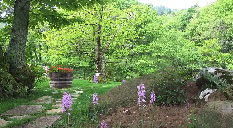 Holiday home in Donoratico