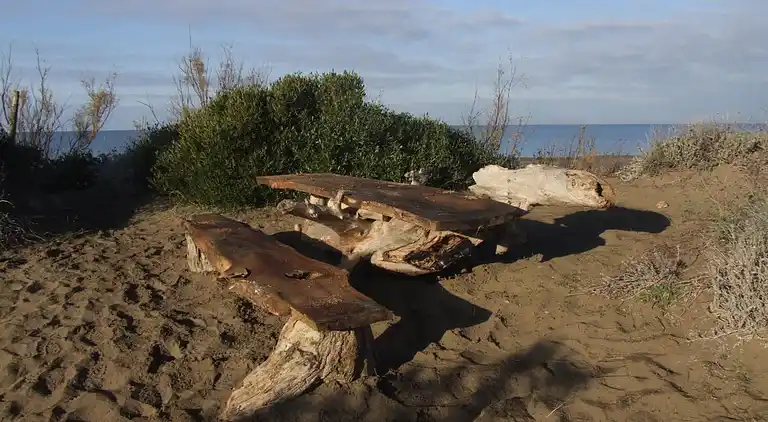 Holiday home in Donoratico