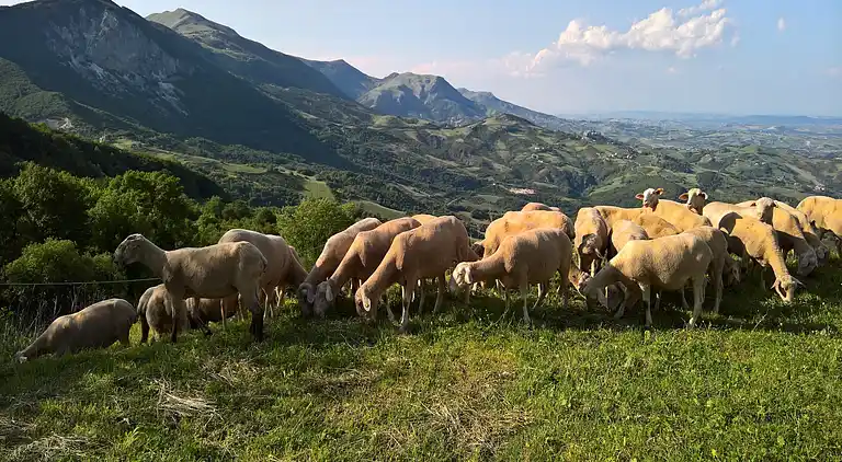 Holiday home in Corvara