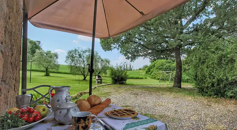 Farm house in Proceno