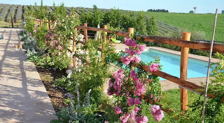 Farm house in Montalto di Castro