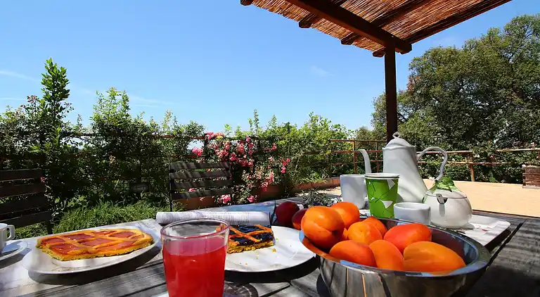 Farm house in Montalto di Castro