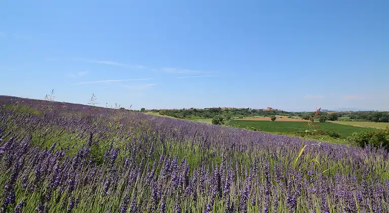 Farm house in Montalto di Castro