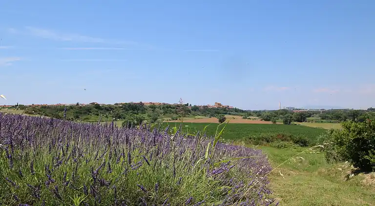 Farm house in Montalto di Castro