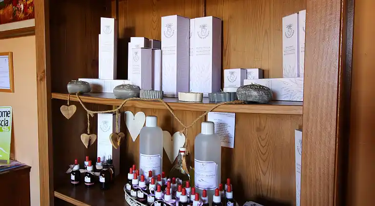 Farm house in Montalto di Castro