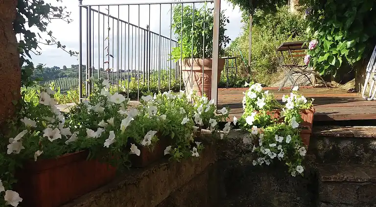 Herregård i Celleno