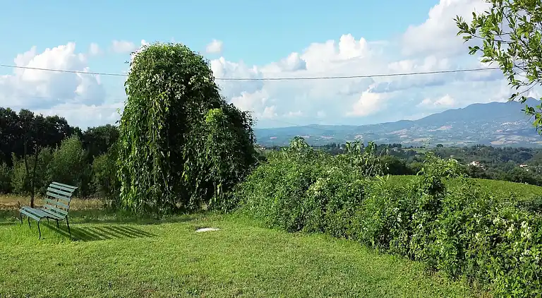 Cottage in Graffignano