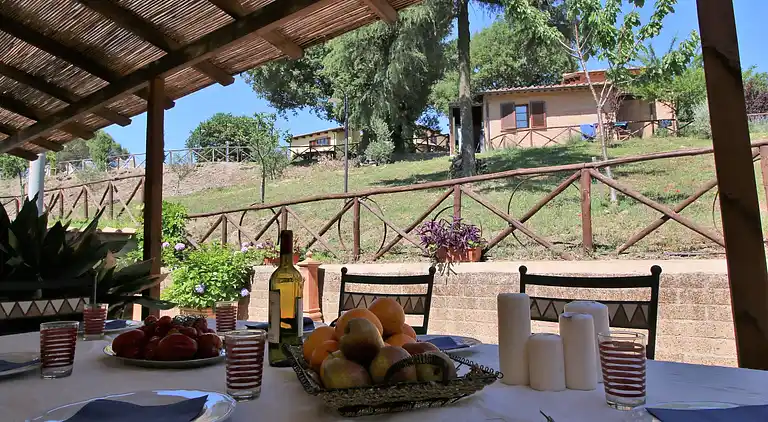 Farm house in Montefiascone