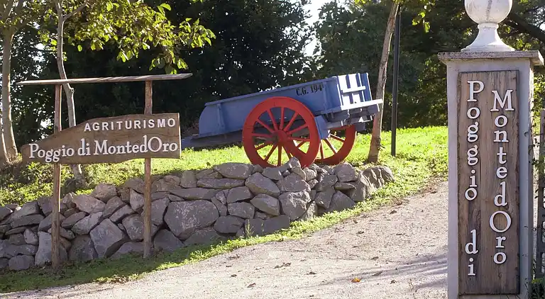 Farm house in Montefiascone