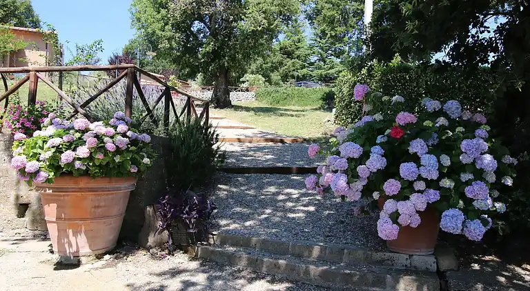 Farm house in Montefiascone