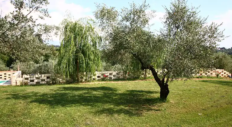 Holiday home in Selci