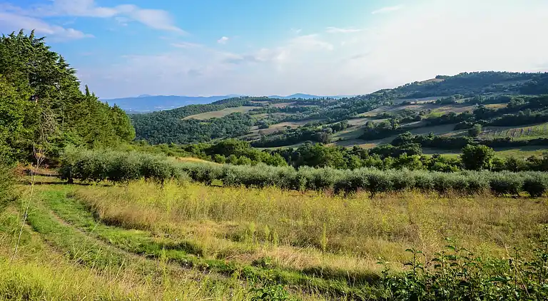 Holiday home in Trevine