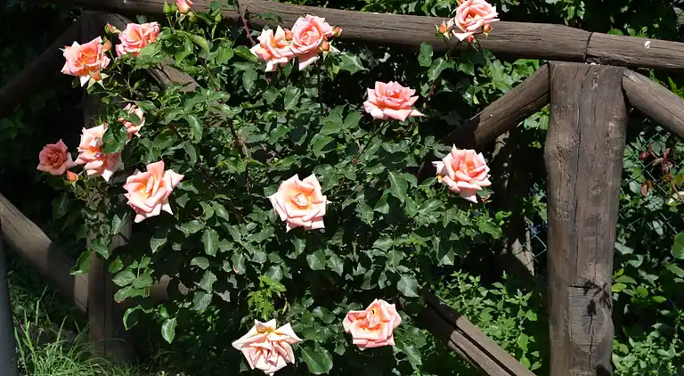 Holiday home in Trevine