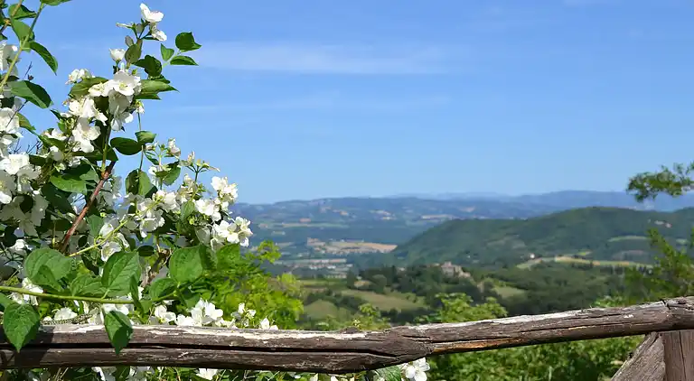 Holiday home in Trevine