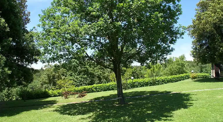 Casa de vacaciones en Città di Castello