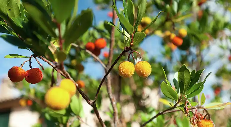 Farm house in Giano dell'Umbria