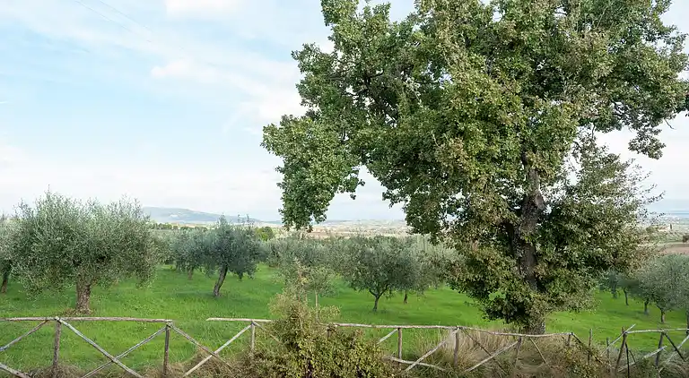 Farm house in Giano dell'Umbria
