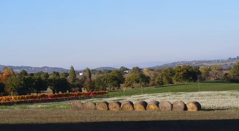 Farm house in Giano dell'Umbria