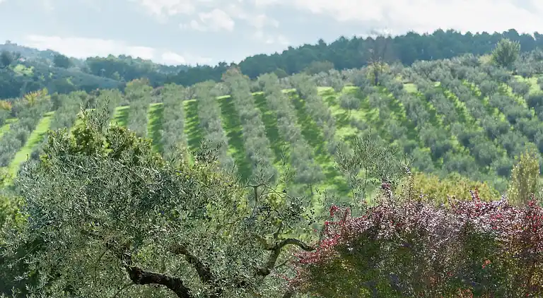 Farm house in Giano dell'Umbria