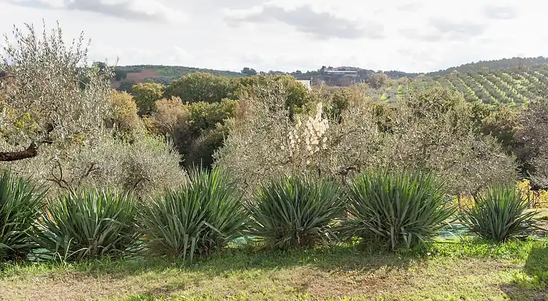 Farm house in Giano dell'Umbria