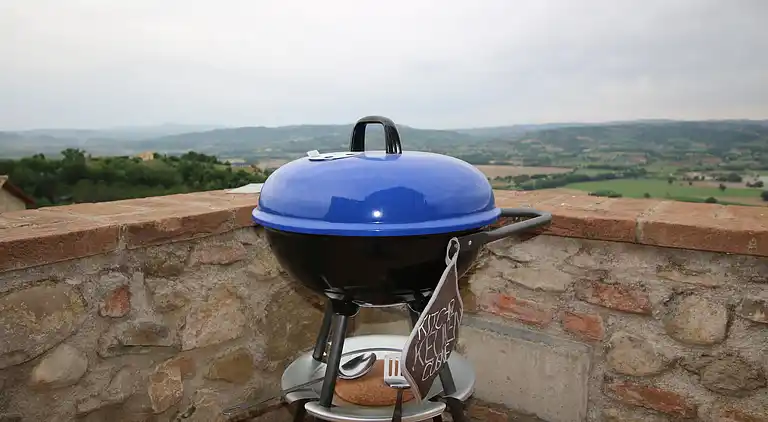 Herregård i Piedicolle