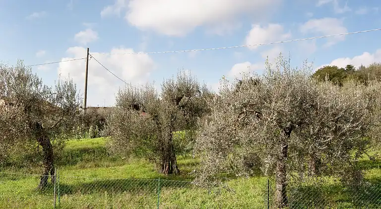 Herregård i Monte del Lago