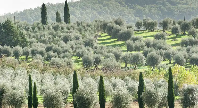 Herregård i Monte del Lago