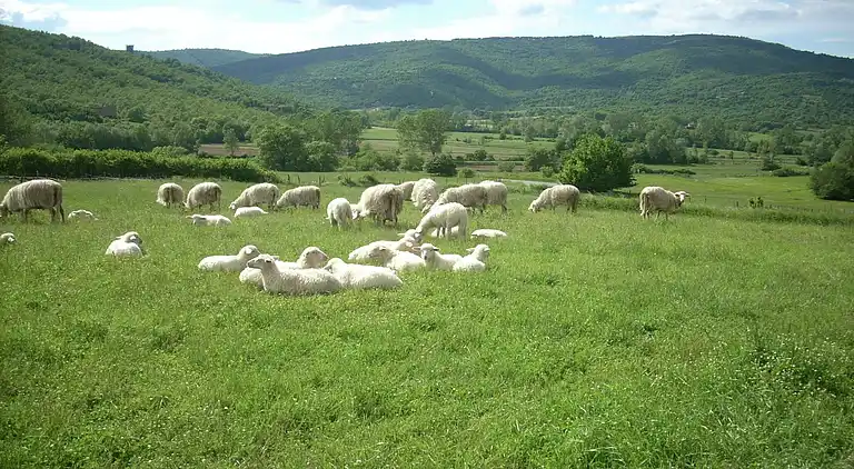 Farm house in Passignano sul Trasimeno