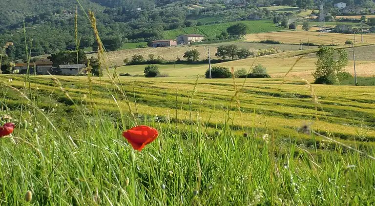 Holiday home in Piegaro