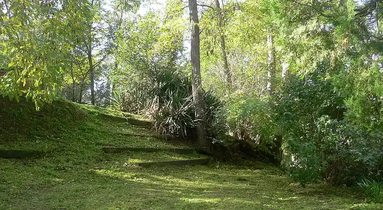 Herenhuis in Cozzano