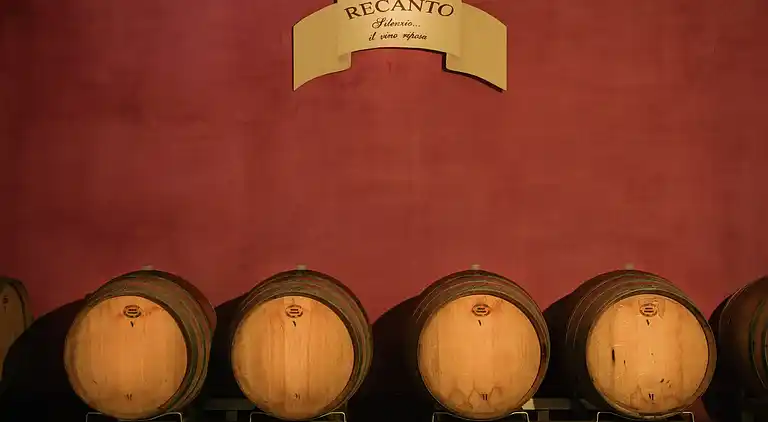 Manor house in Assisi