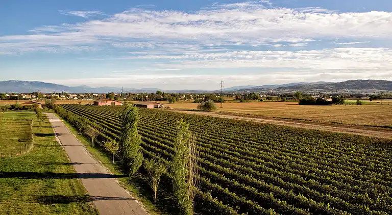 Manor house in Assisi