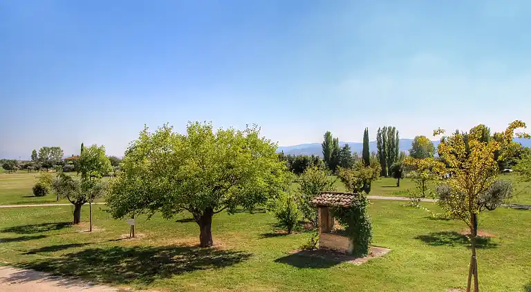 Manor house in Assisi