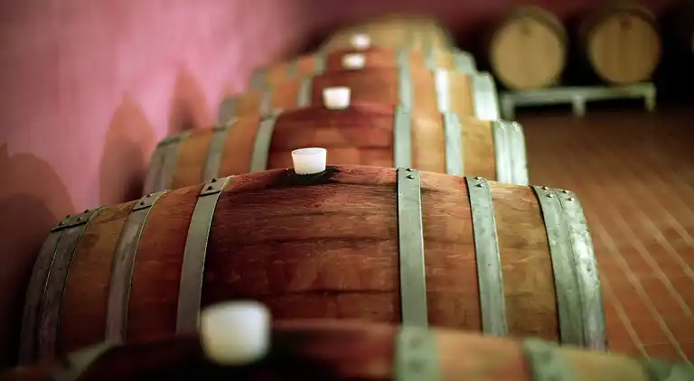 Manor house in Assisi